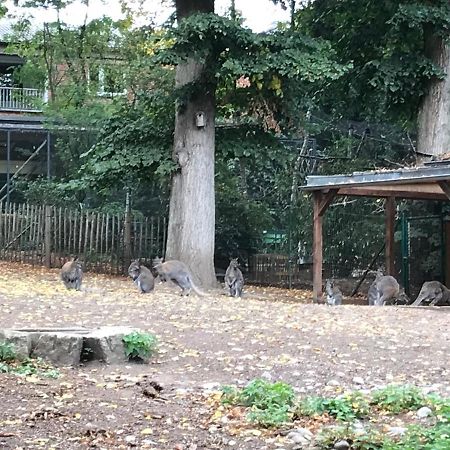 Ferienhaus Am Park Am Roehrensee Bayreuth Zewnętrze zdjęcie
