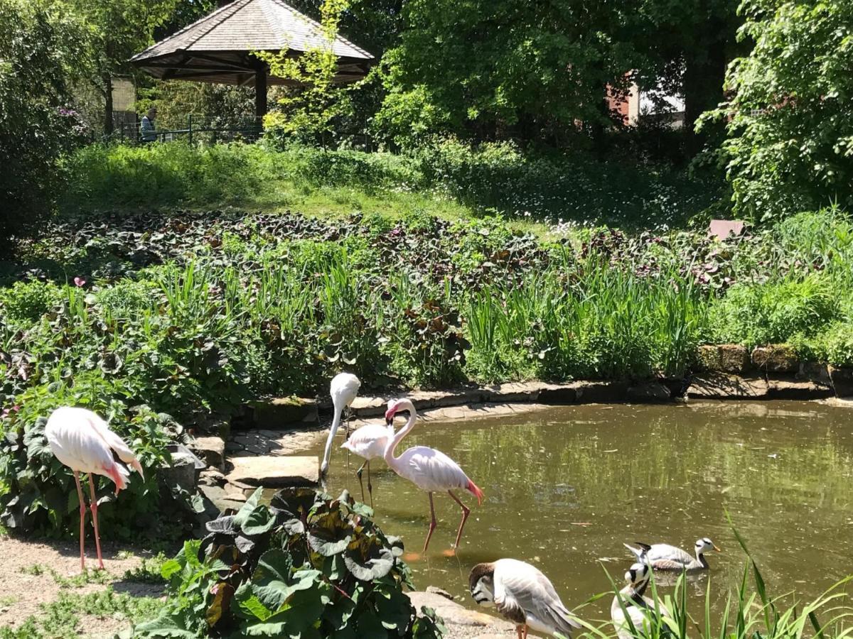 Ferienhaus Am Park Am Roehrensee Bayreuth Zewnętrze zdjęcie