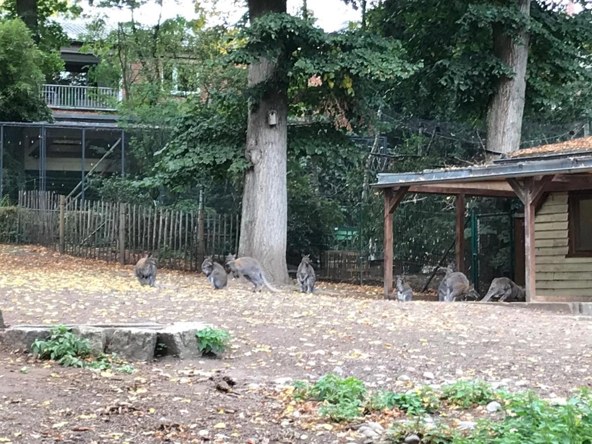 Ferienhaus Am Park Am Roehrensee Bayreuth Zewnętrze zdjęcie